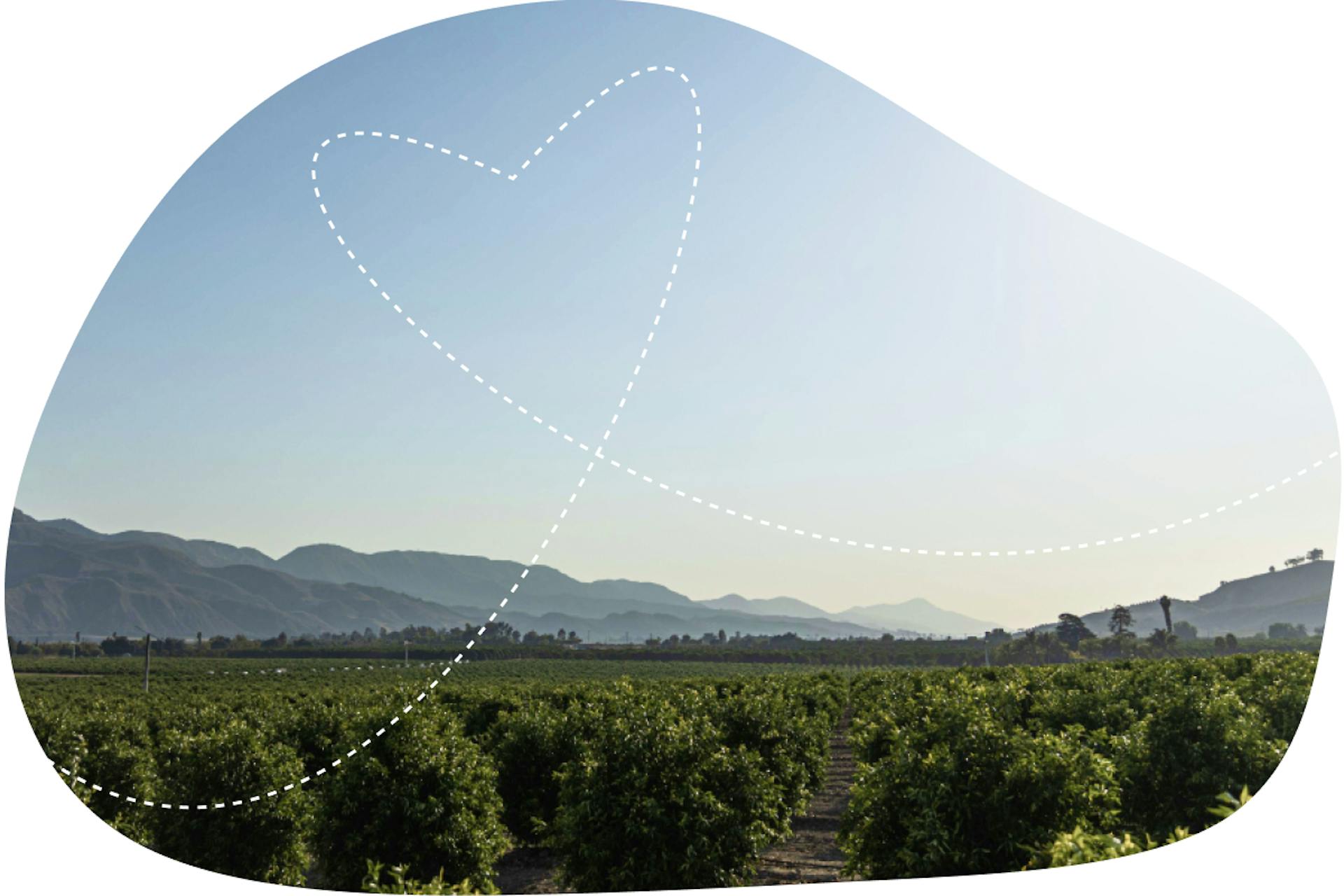 Family-owned, 100% solar powered, and almost zero carbon footprint.