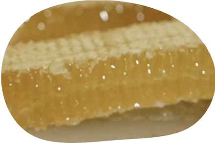 raw honeycomb