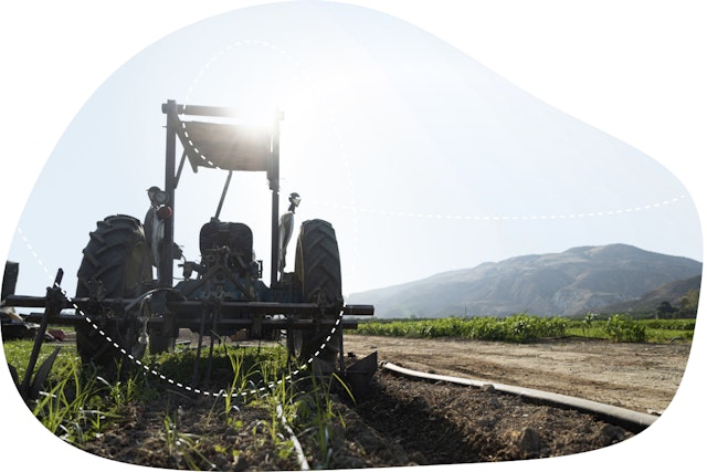 Backyard Tractor