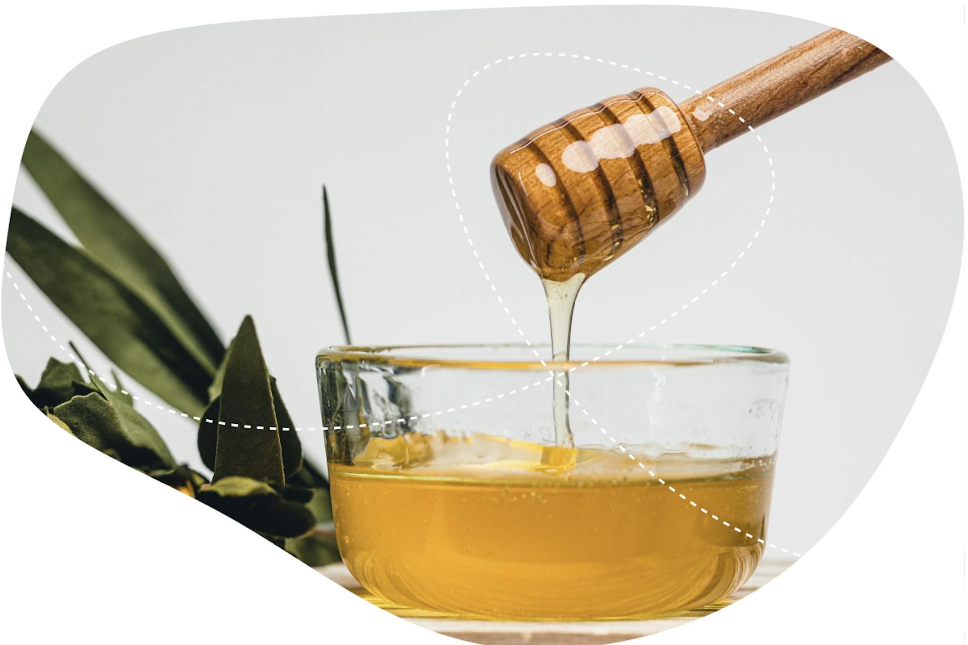 The original natural food.