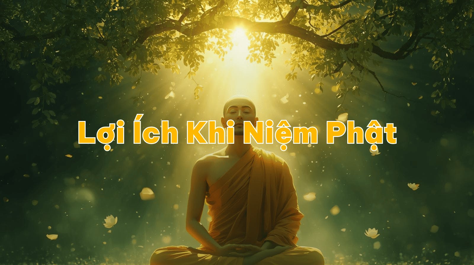 Lợi Ích Khi Niệm Phật