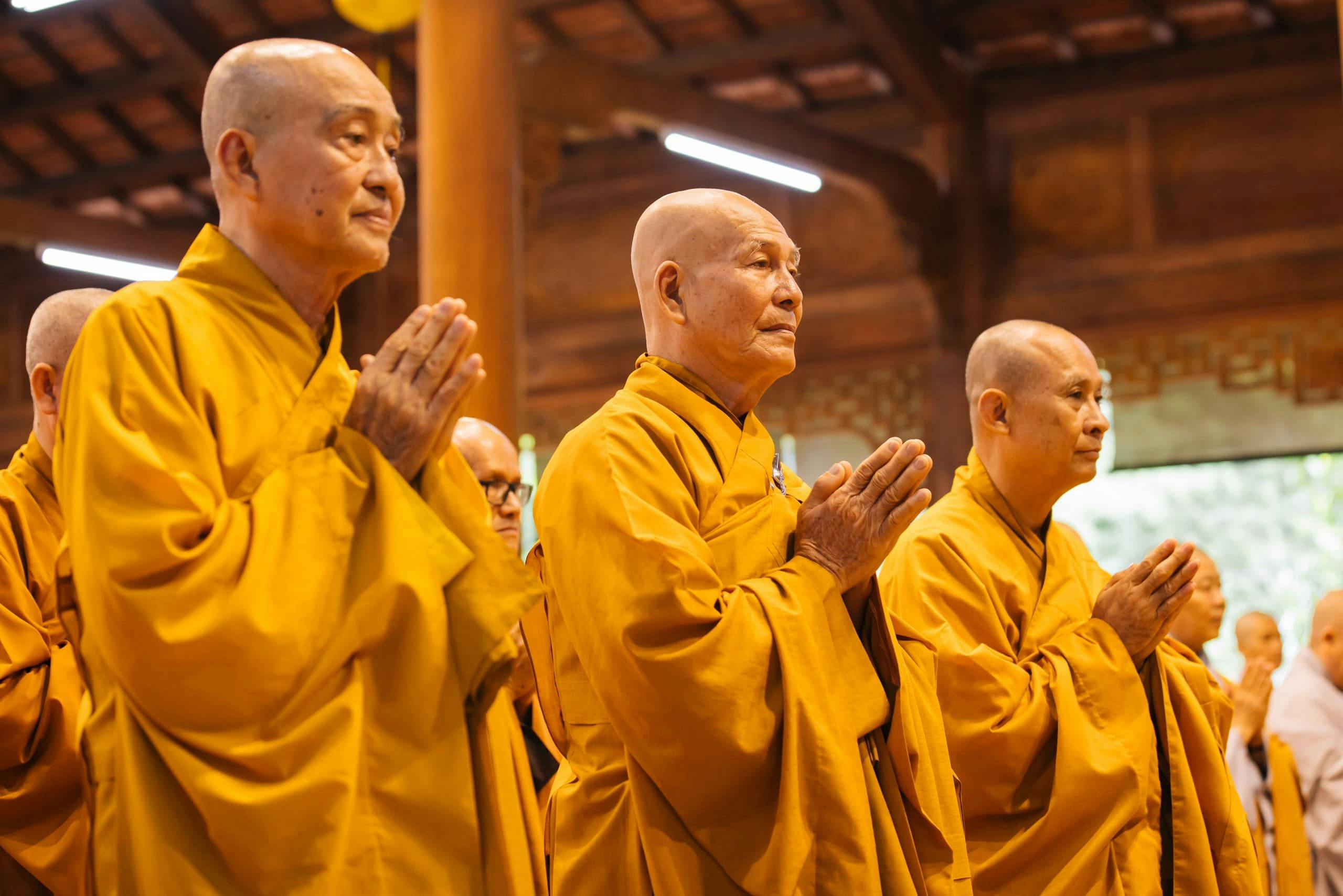 Thiền Tông Việt Nam