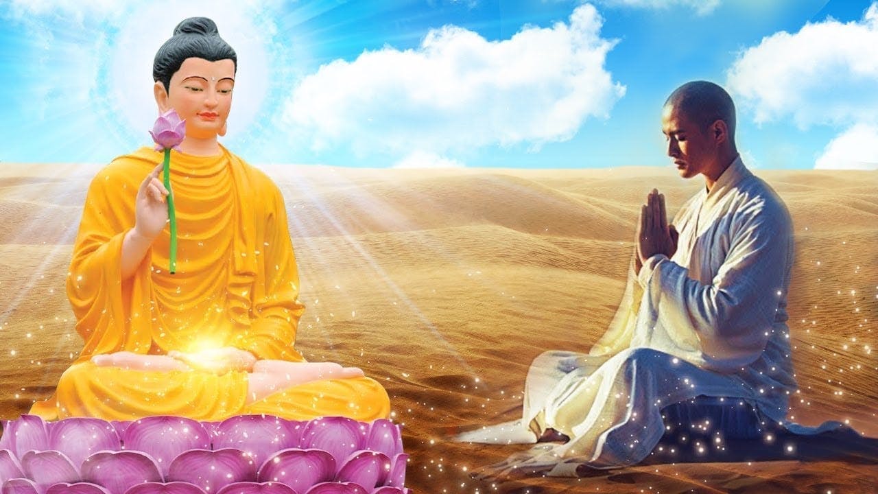 Sống Theo Lời Phật Dạy – Rèn Luyện Tâm và Hành Thiền Mỗi Ngày