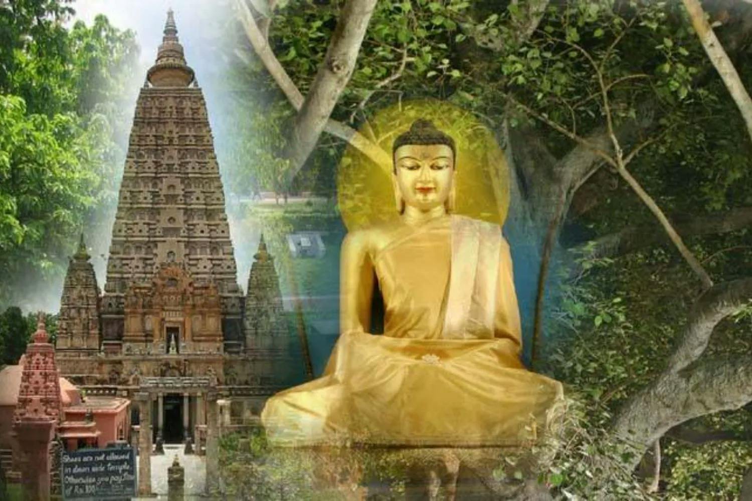 Nguồn Gốc Và Sự Phát Triển Của Thiền Tông Trung Hoa