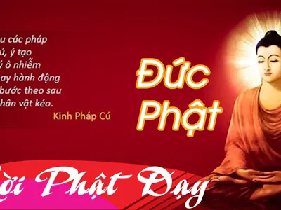 5 Lời Phật Dạy Giúp Bạn Buông Gánh Nặng Khi Công Việc Quá Áp Lực
