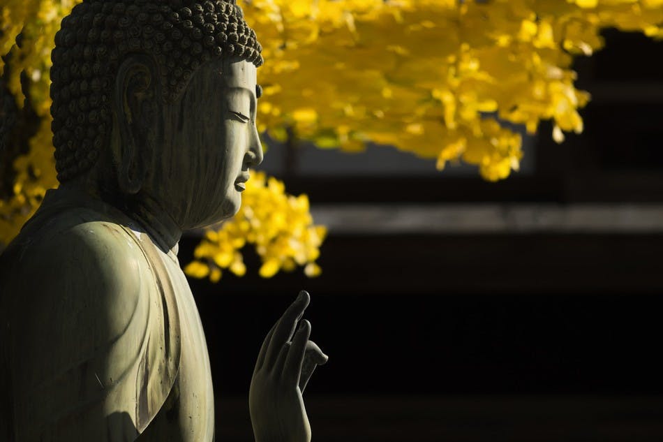 HÌnh ảnh minh họa - Mở lối giác ngộ