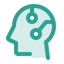 head circuit icon