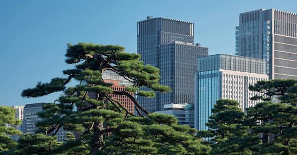 beqom Expands Asia-Pacific Presence by Opening Head Office in Tokyo, Naming John Kirch to Lead