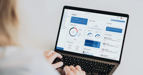 Someone looking at a laptop with charts and graphs on it