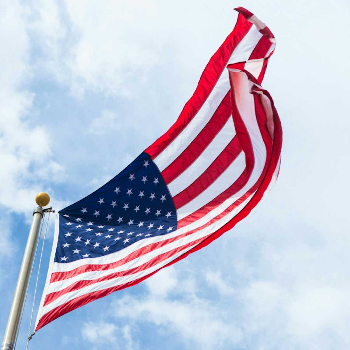usa flag