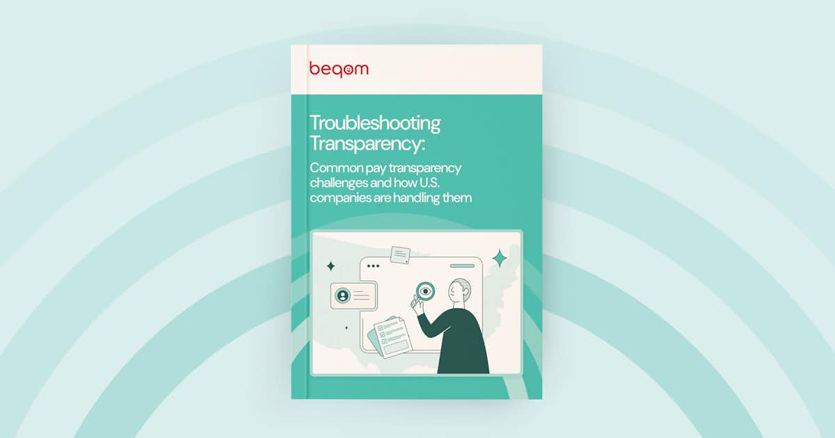 Image of the cover of beqom's eGuide "Troubleshooting Transpasrency".