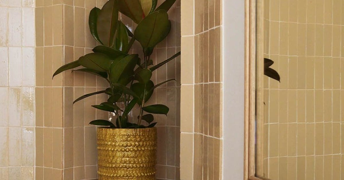 Optimisation petite salle de bain