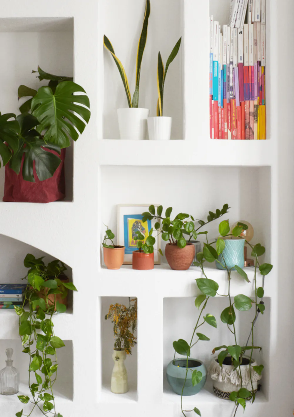 entreprise renovation maison nice