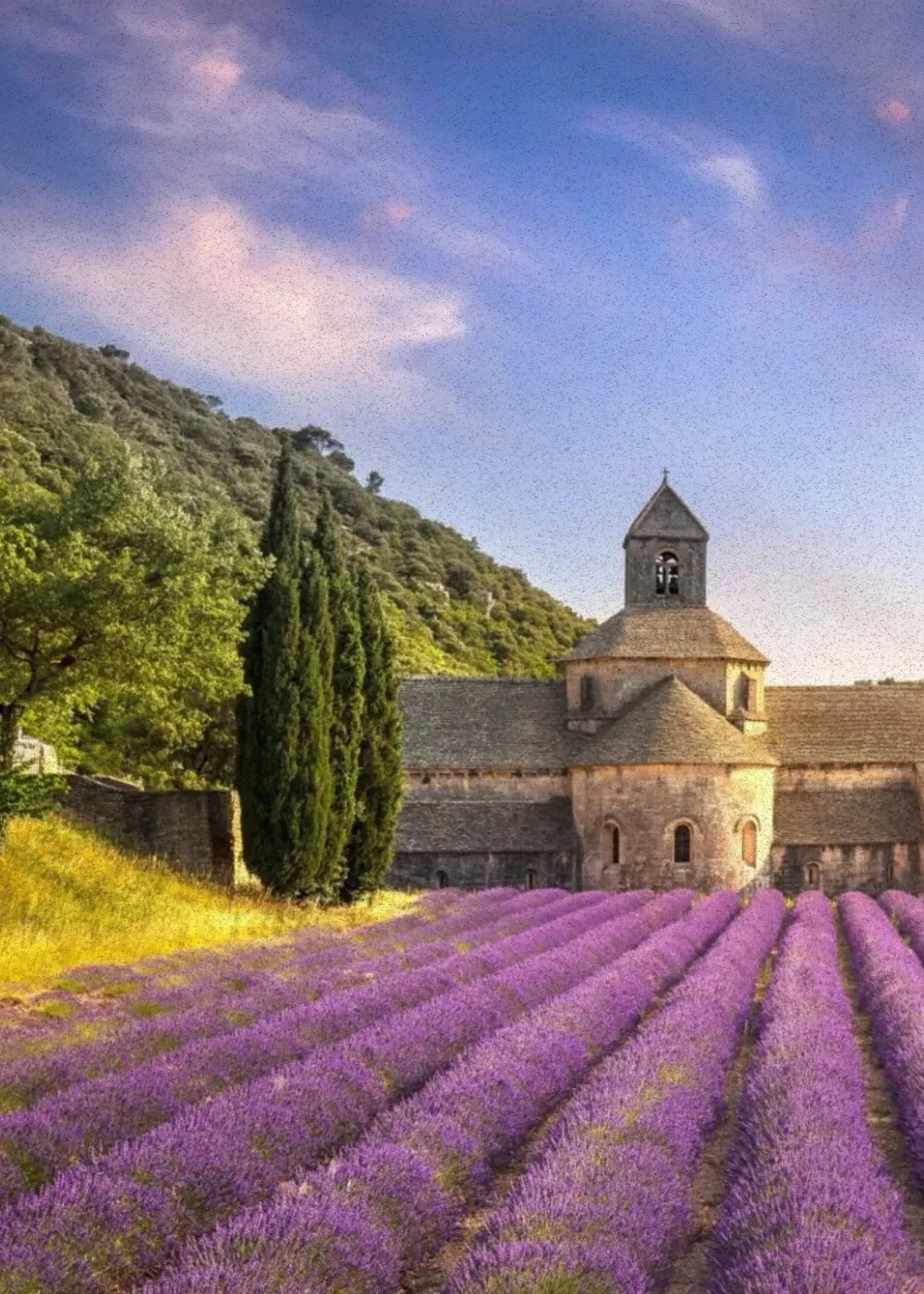 architecte d'intérieur 84