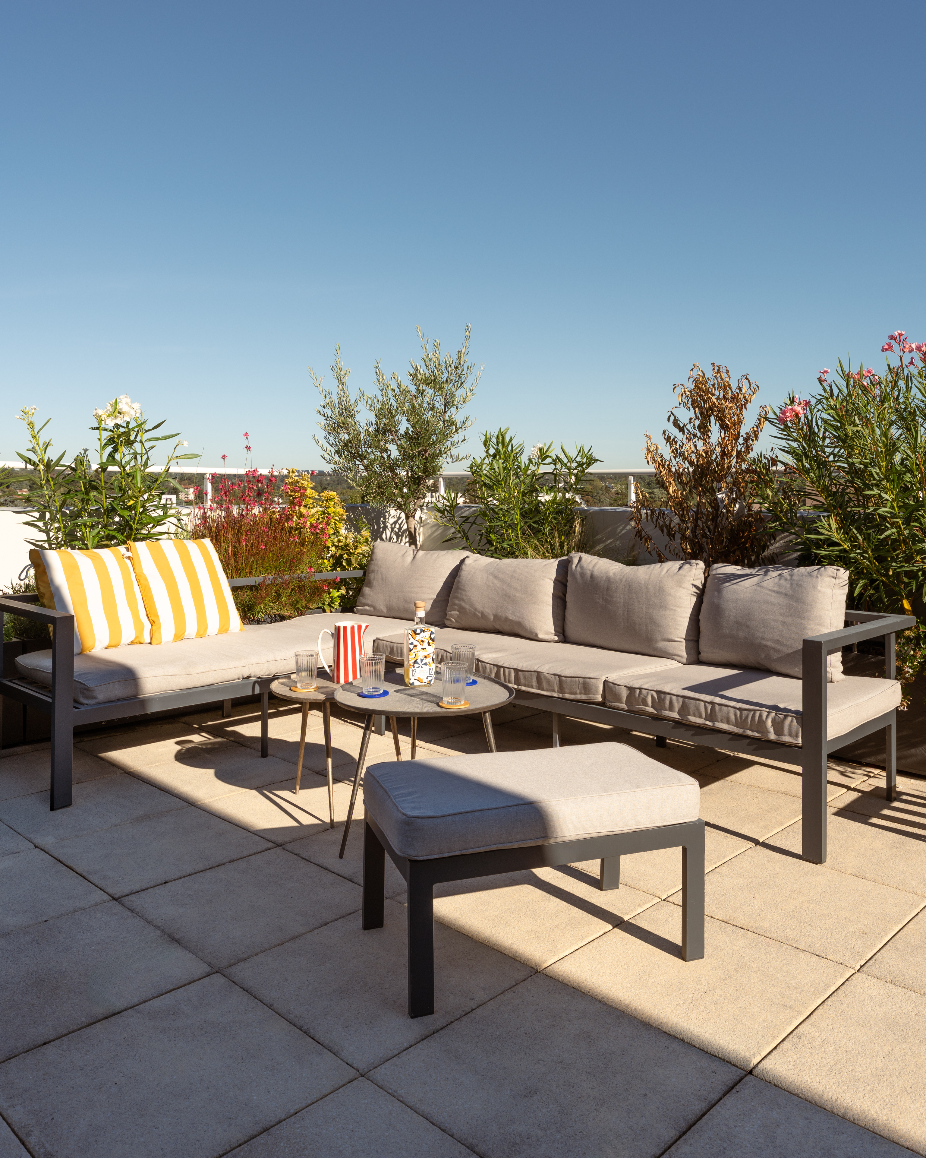 rénovation rooftop tassin
