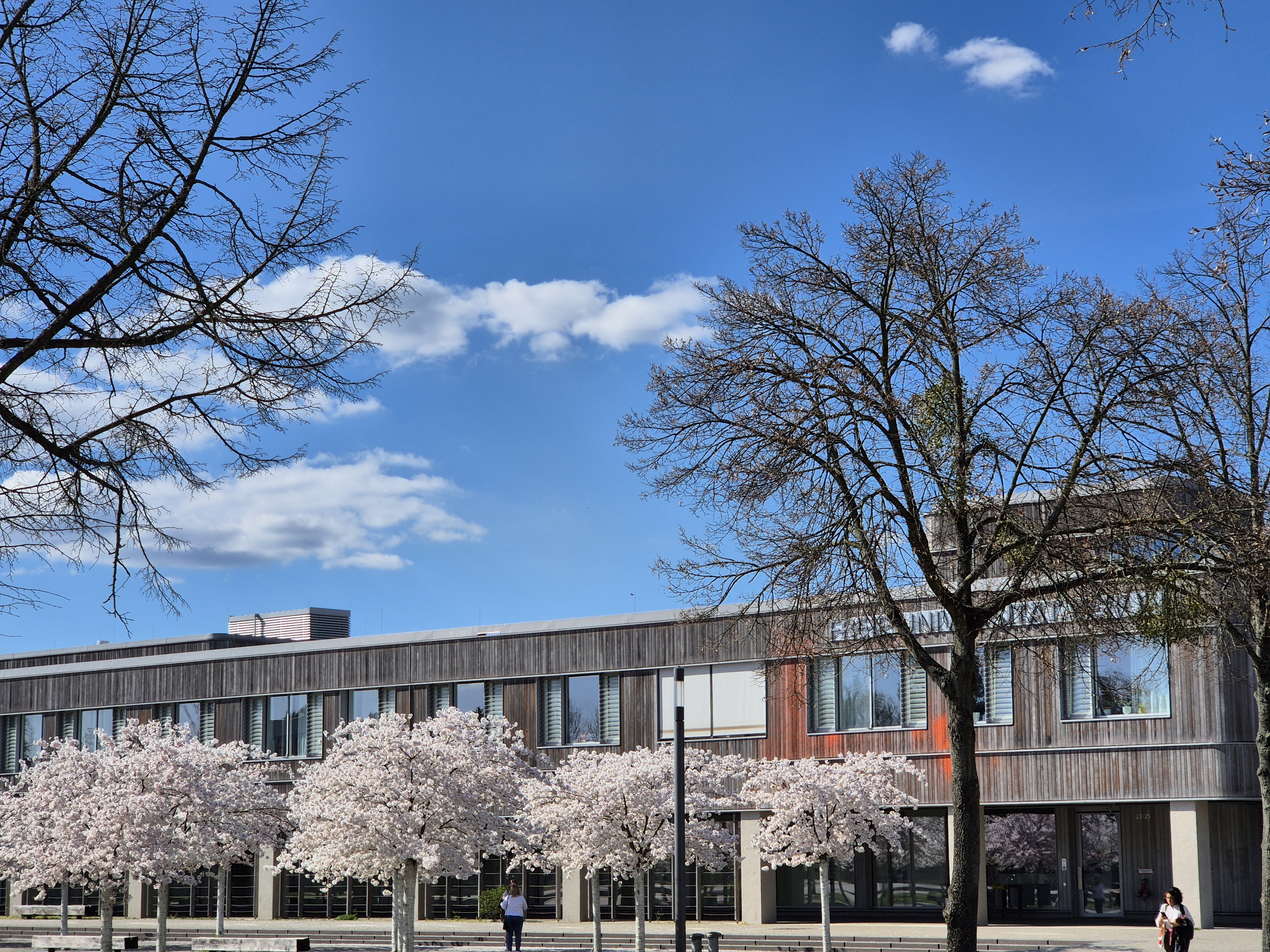blooming trees in front of Free University of Berlin