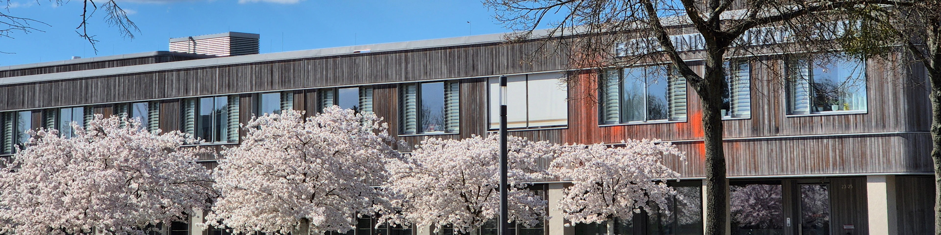 blooming trees in front of Free University of Berlin