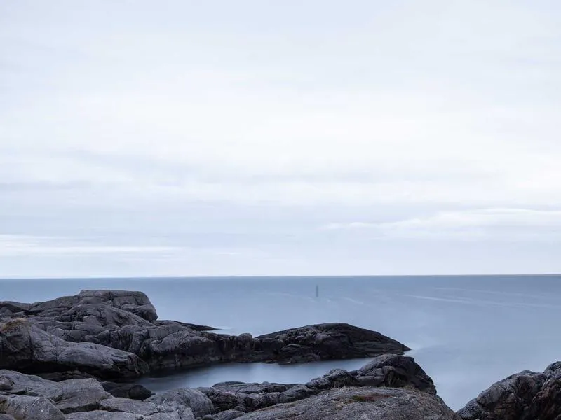 Individual career coaching session