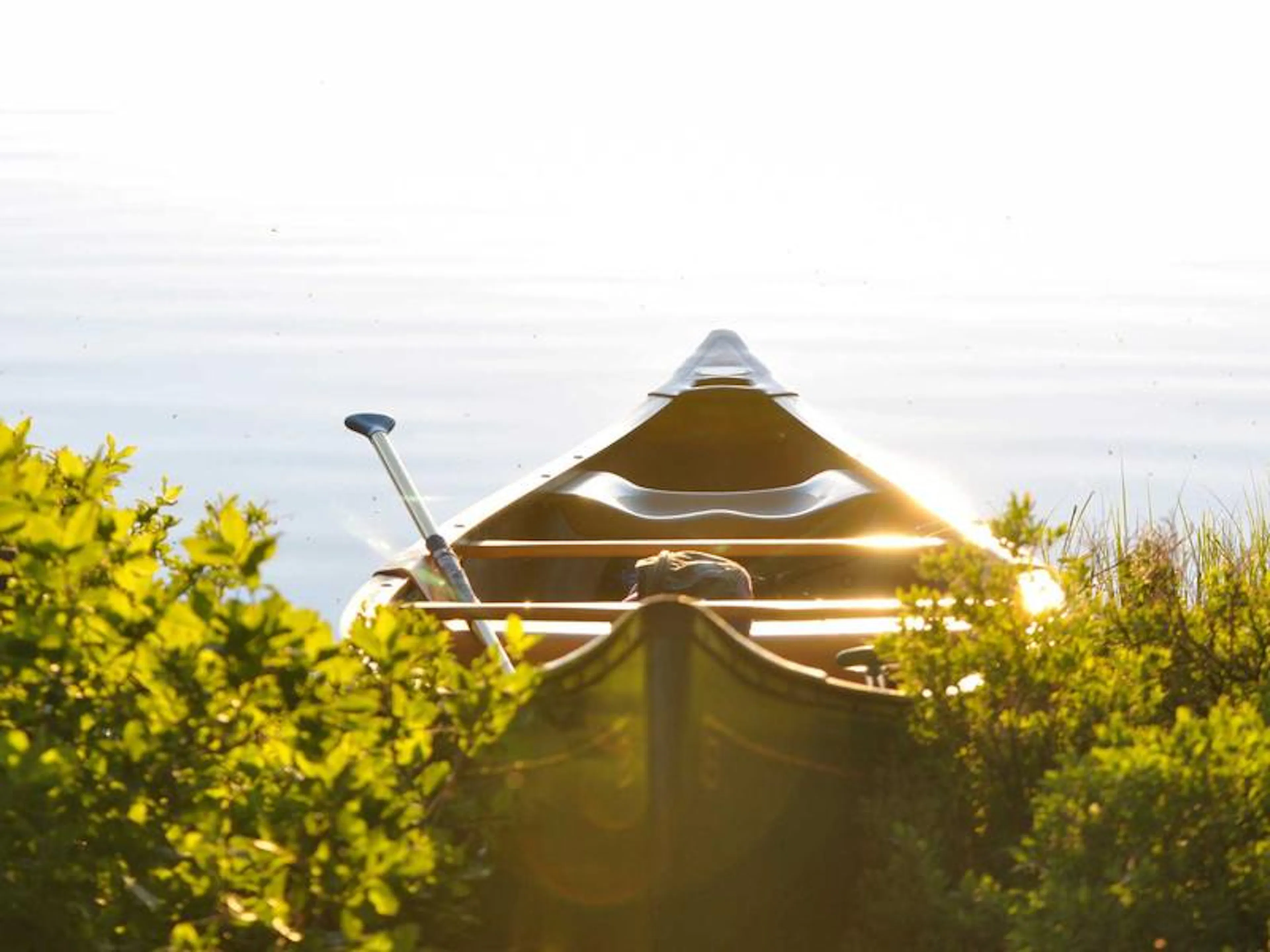 Team coaching group workshop