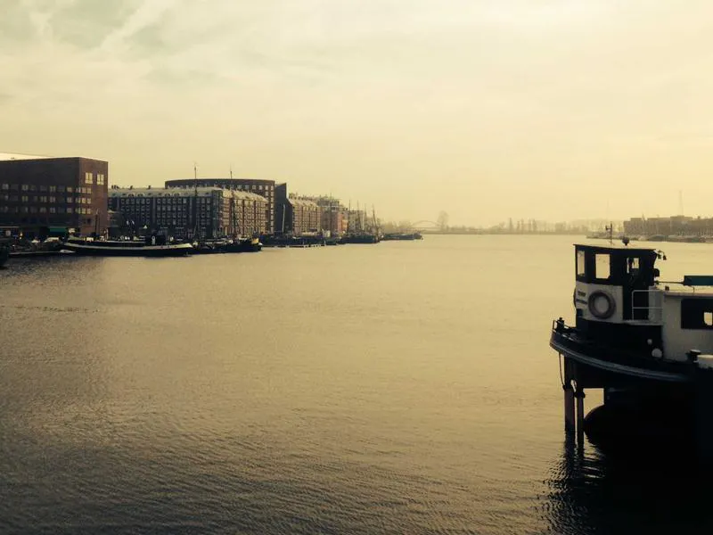 Introductory coaching consultation