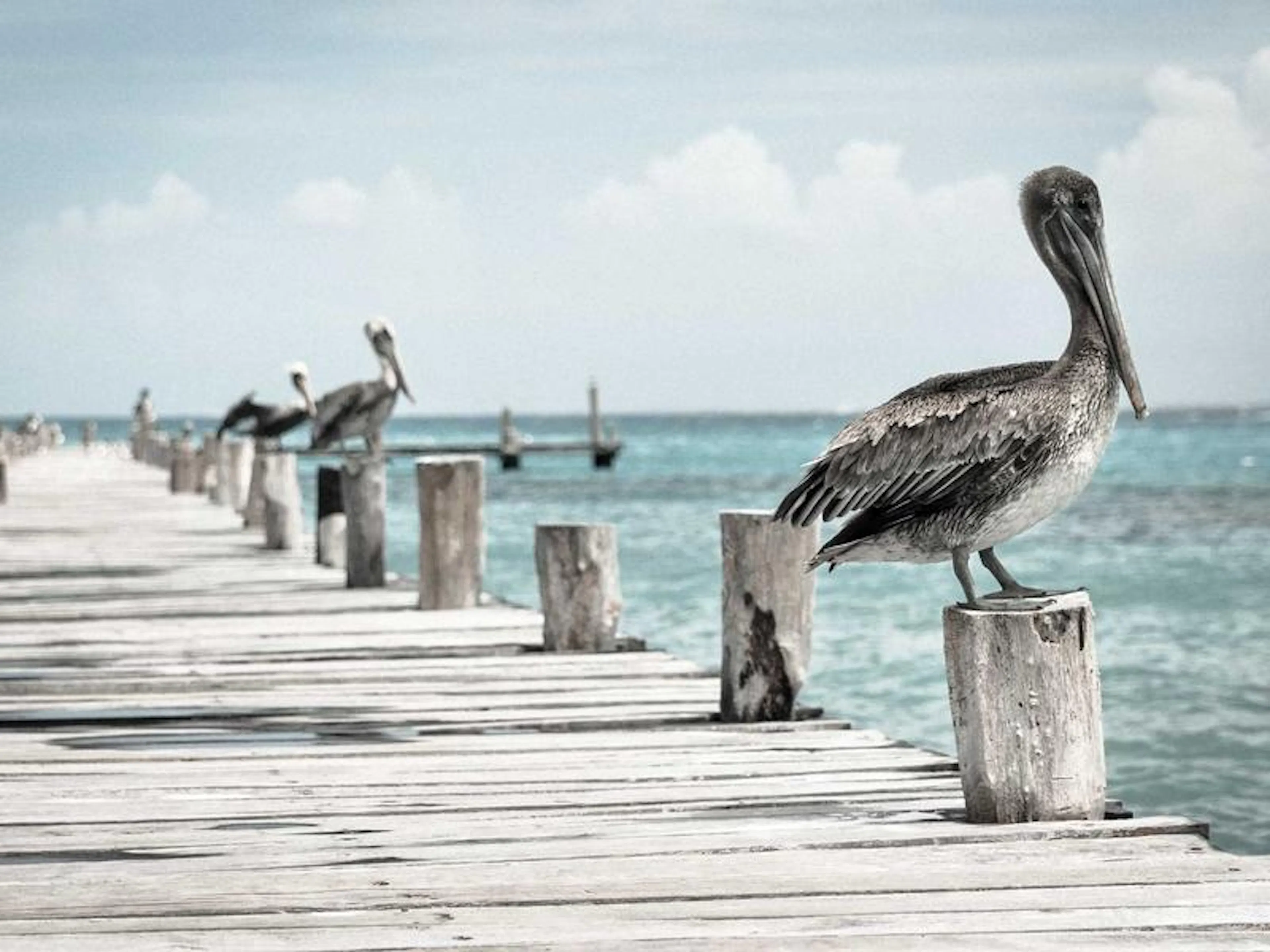 Personal finance strategy session