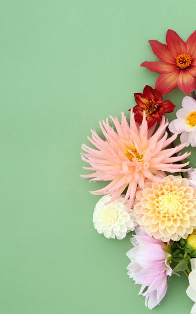 Responsive image