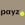 Payzロゴ