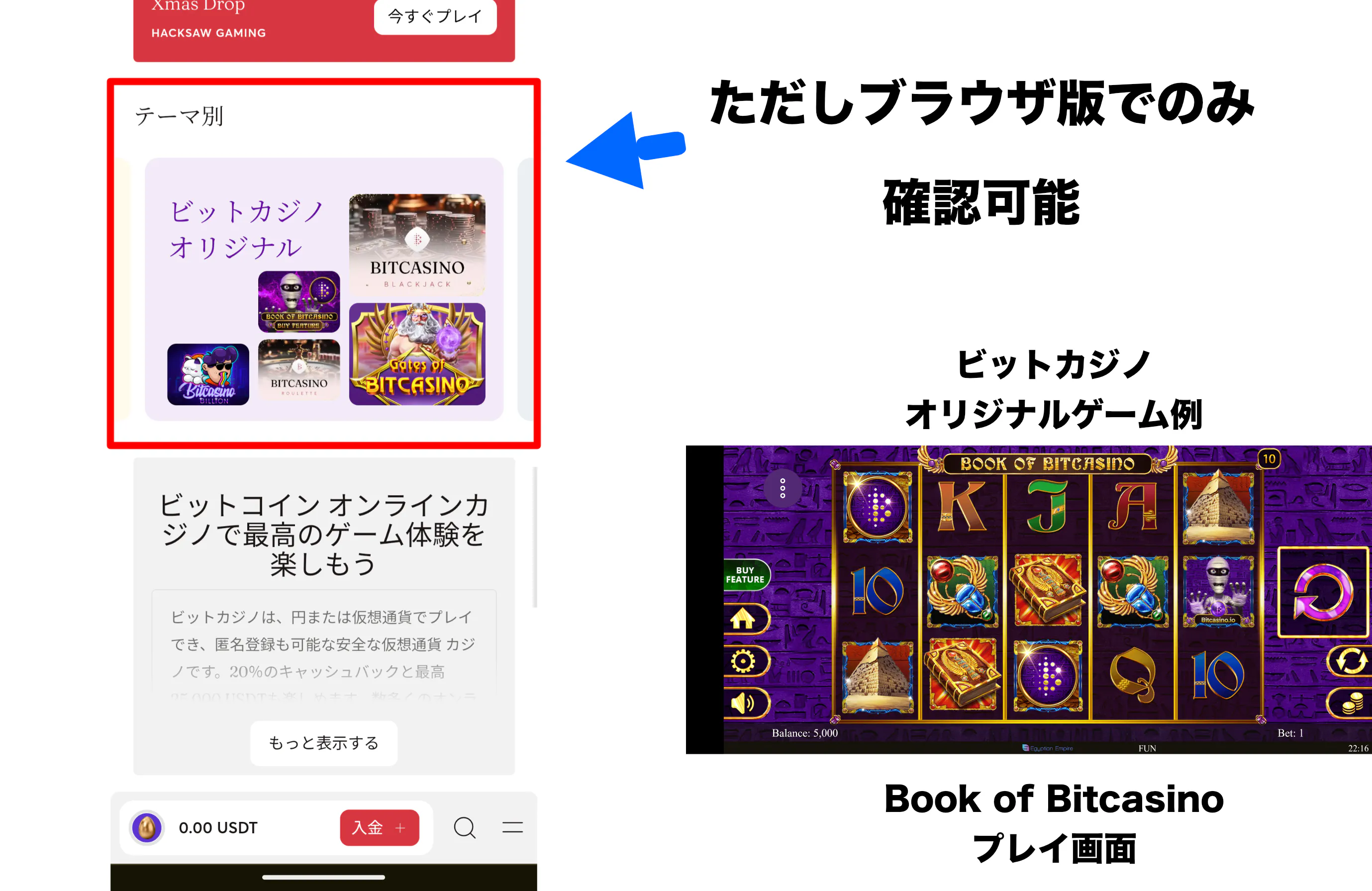 ビットカジノ テーマ別表示