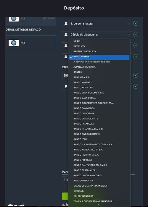 Confirmar los datos de Identidad