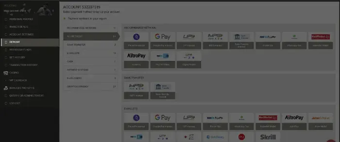 Megapari payment methods