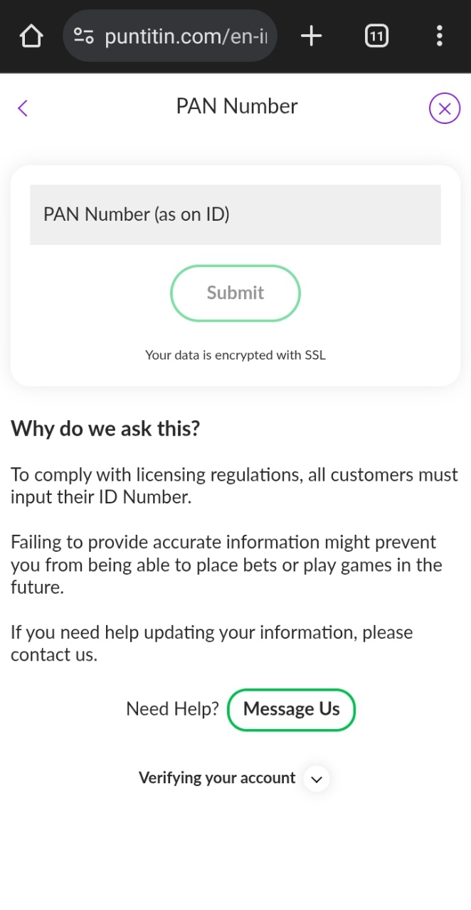 puntit identity verification