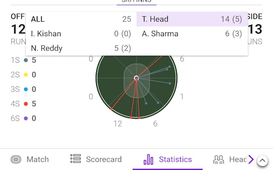 Puntit India Match Statistics
