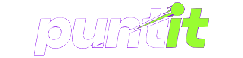 puntit logo