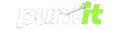 puntit logo