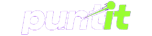 puntit logo