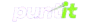 puntit logo