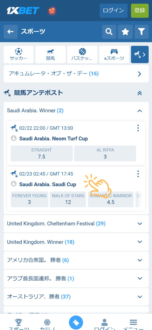 1xbet サウジカップオッズ 手順5