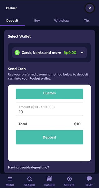 Roobet How to Deposit 4