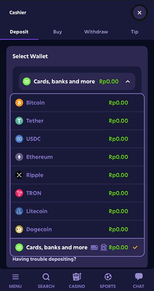 Roobet How to Deposit 2