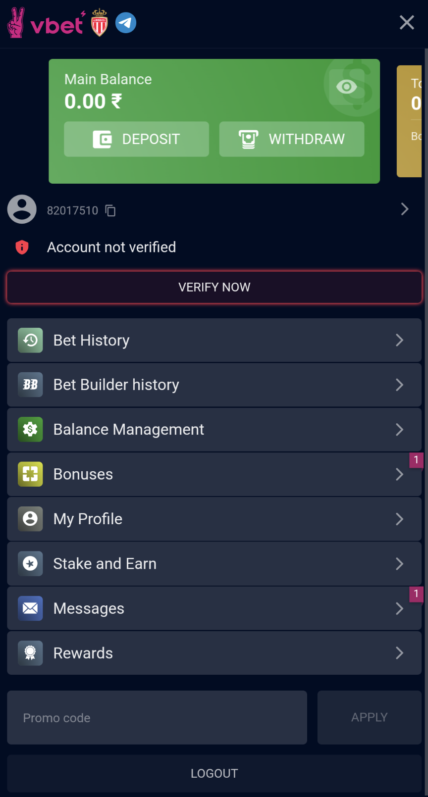 Vbet app account section