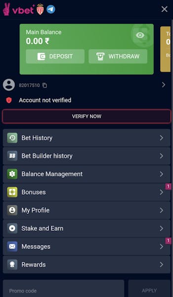 Vbet app account section
