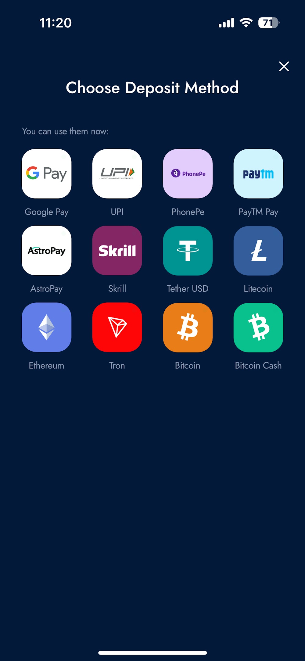 BlueChip India Snippet 3