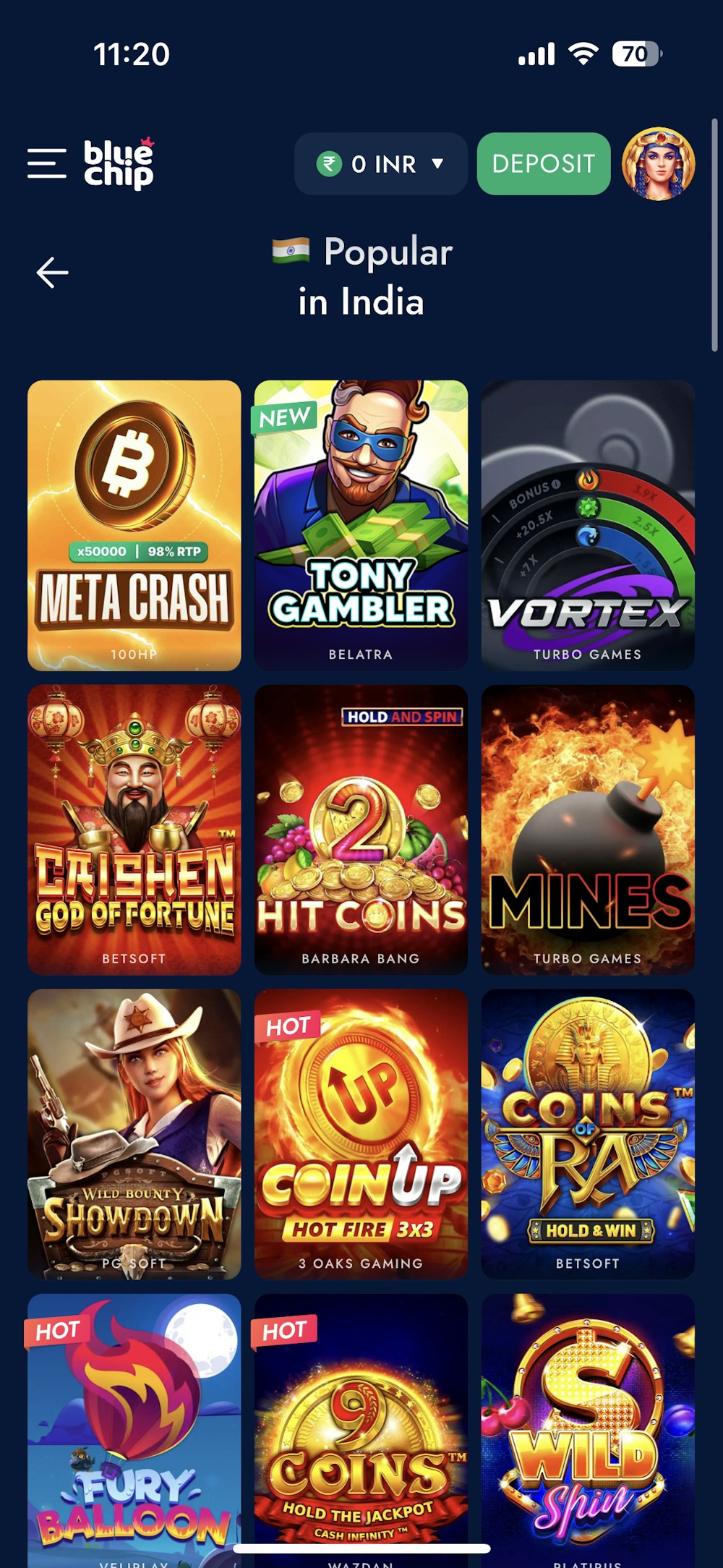 BlueChip India Snippet 4