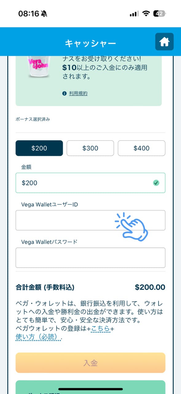 VJ ベガウォレット 入金手順 3