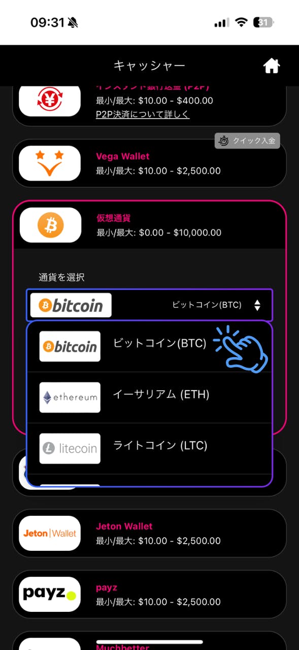 インターカジノ 仮想通貨 入金手順 3