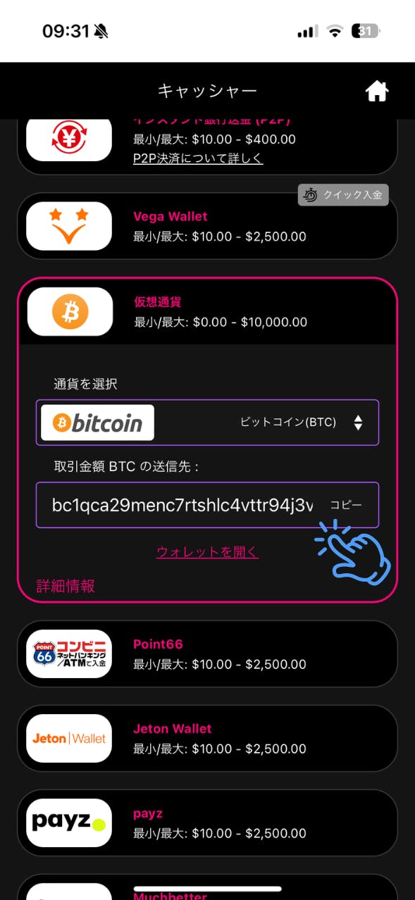 インターカジノ 仮想通貨 入金手順 4