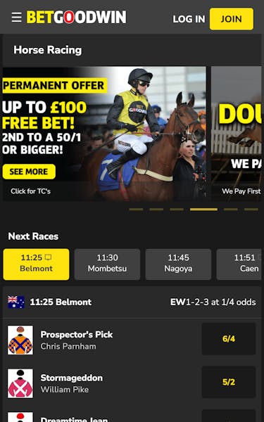 BetGoodwin horse racing uk