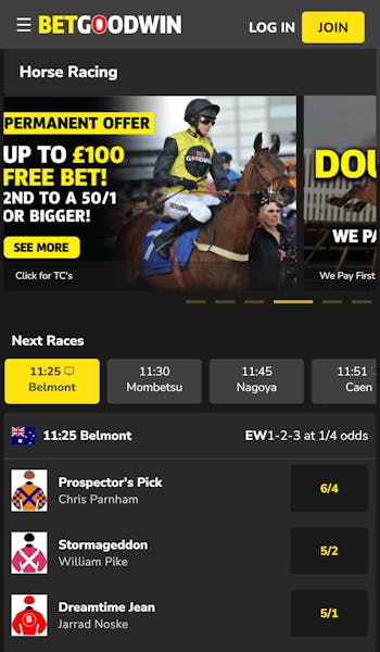 BetGoodwin horse racing uk