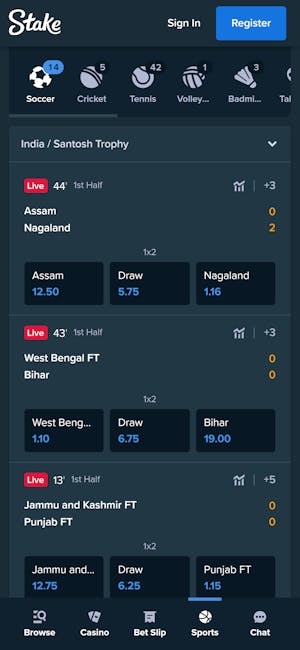 Stake India betting site