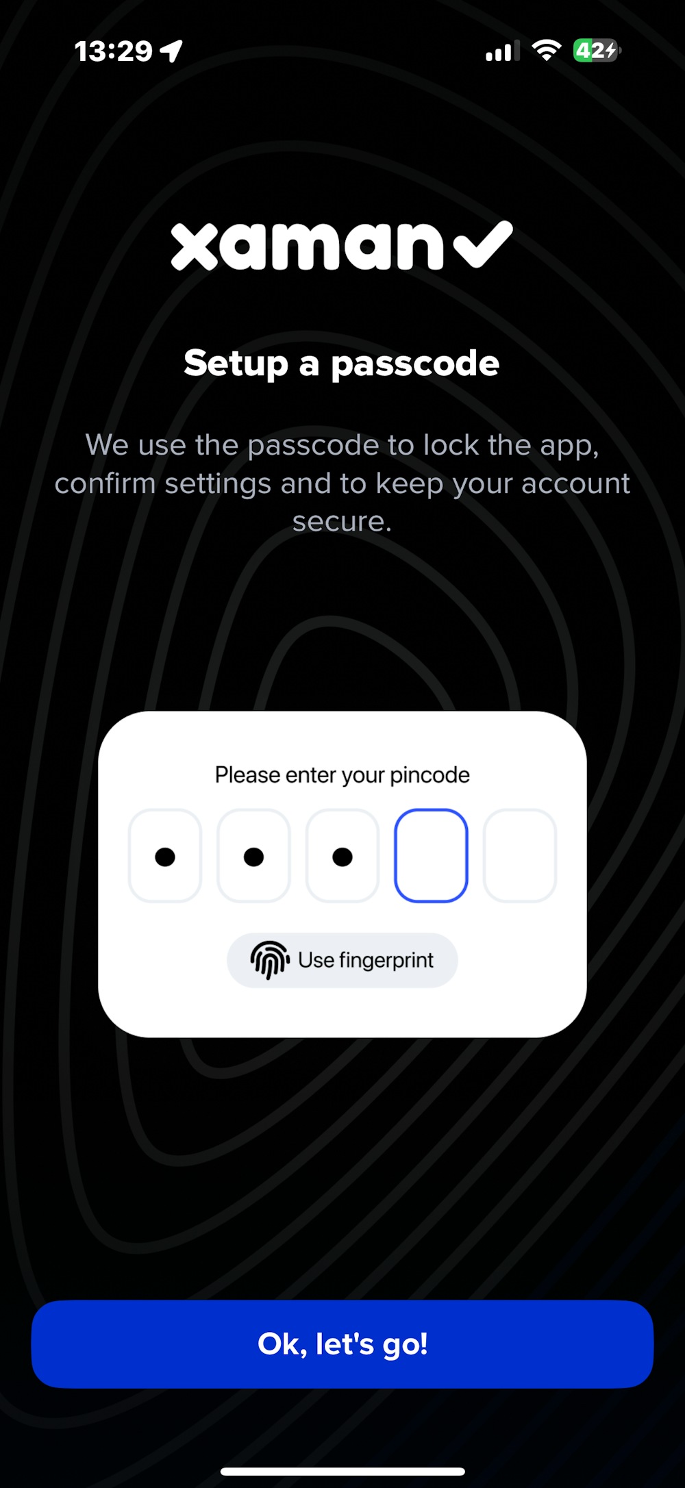 Xamanの起動とパスワードの設定